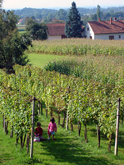 Slovenia for Families - Vaneča Cottage